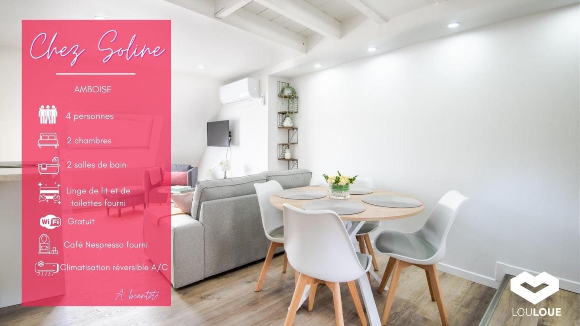 Chez Soline - Le Duplex Climatise Амбоаз Екстериор снимка