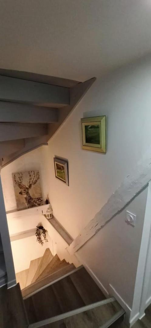 Chez Soline - Le Duplex Climatise Амбоаз Екстериор снимка